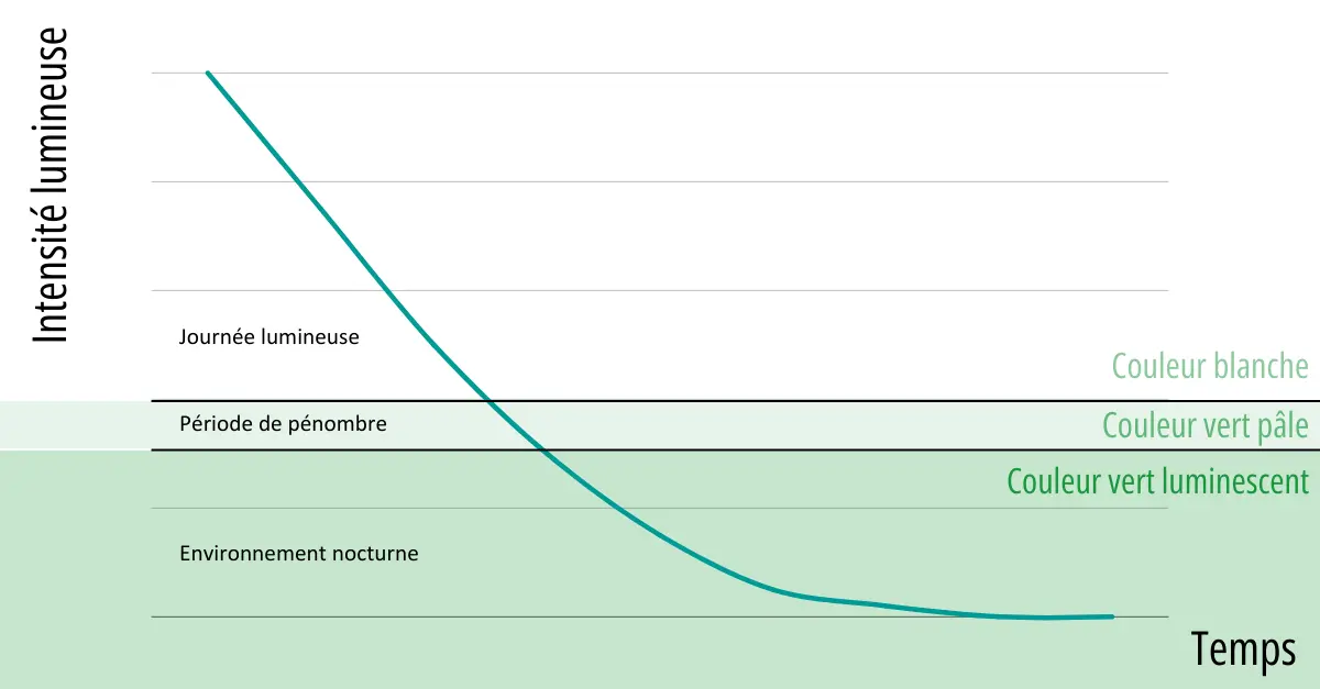 Evolution intensité lumineuse 'une peinture photoluminescente dans le temps