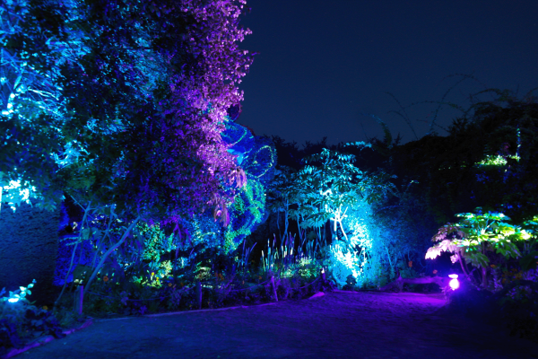 Univers plantes désert Terra Botanica