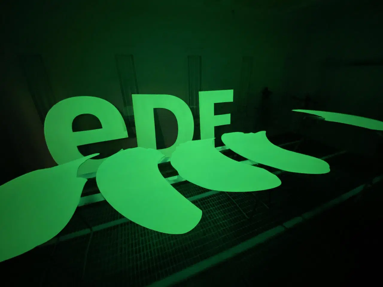 logo edf