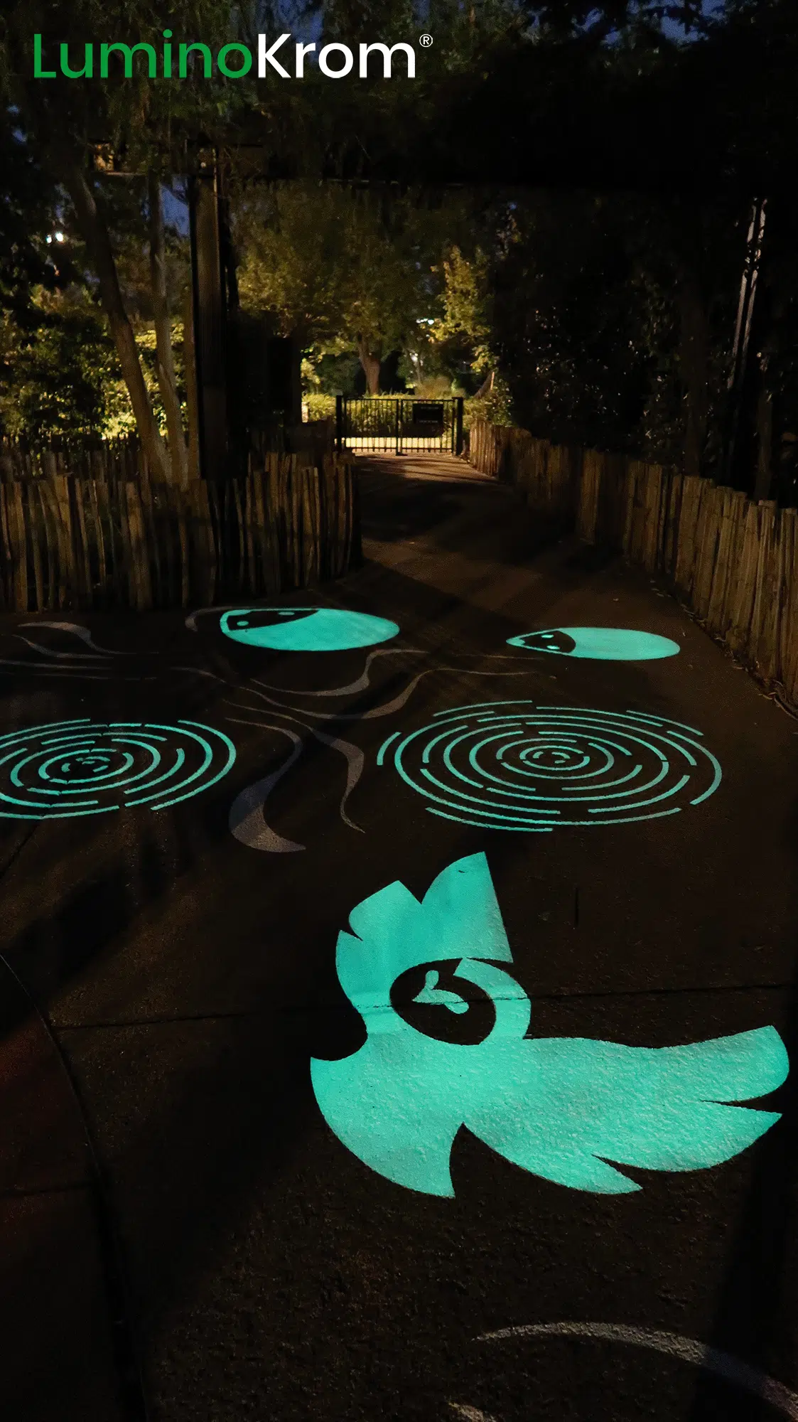 Marquage d'animation de nuit dans un parc pour enfants