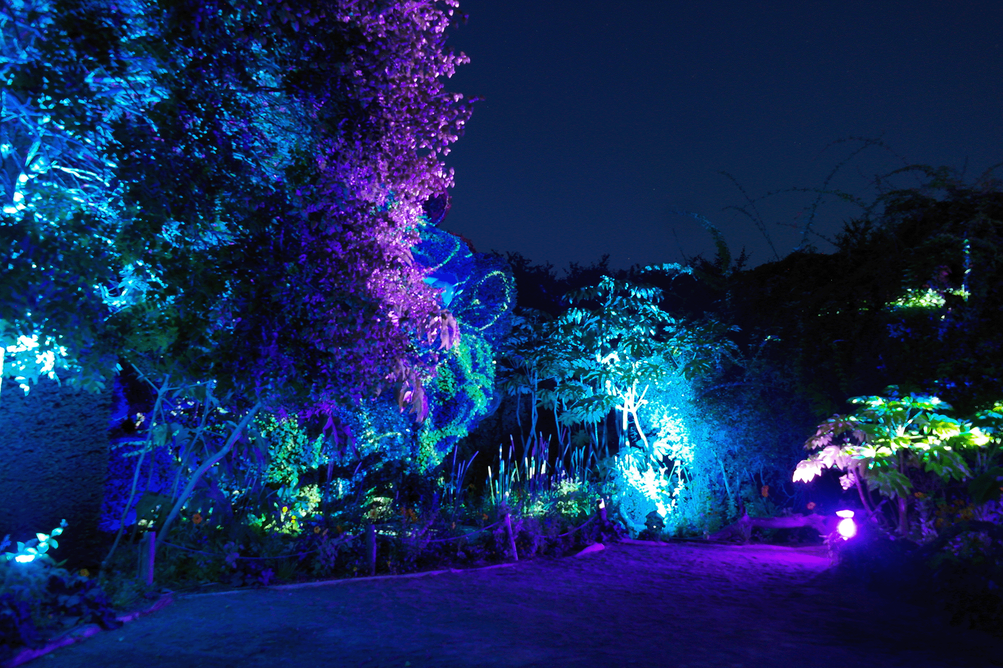 Terra Nocta, spectacle son et lumière nuit